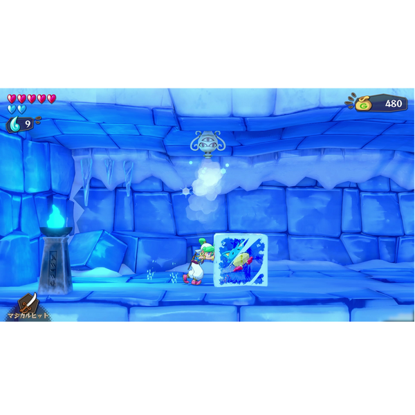 Wonder Boy: Asha in Monster World Collector's Edition (PlayStation 4)