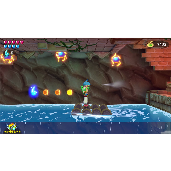 Wonder Boy: Asha in Monster World Collector's Edition (PlayStation 4)