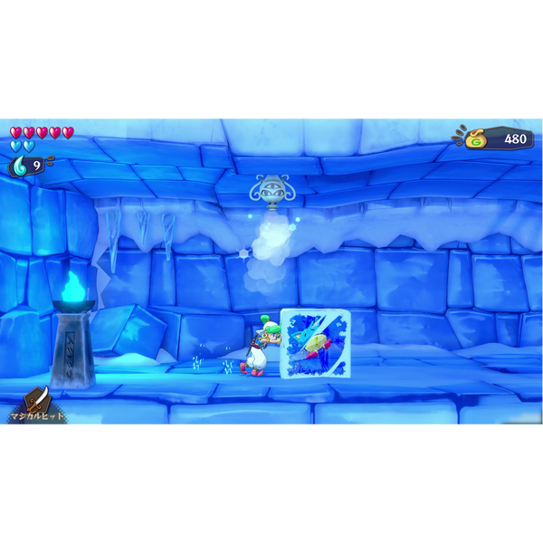 Wonder Boy: Asha in Monster World (Nintendo Switch) (German Version)