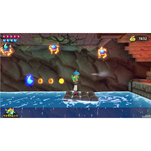 Wonder Boy: Asha in Monster World (Nintendo Switch) (German Version)