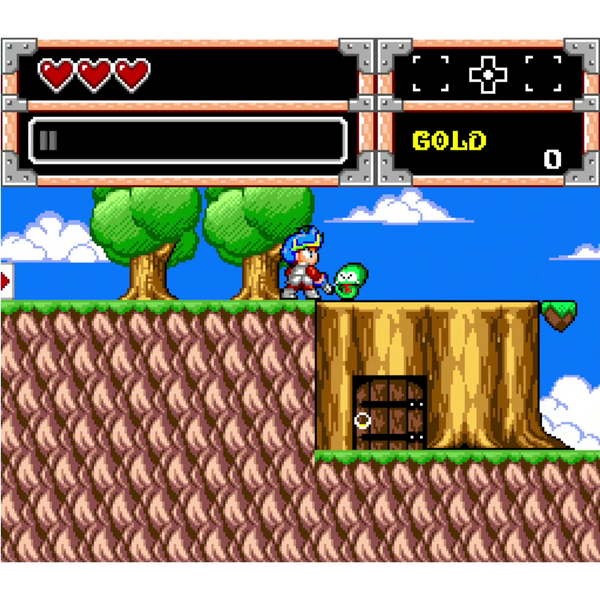 Wonder Boy Collection (Nintendo Switch) (FR/ES/IT Version)